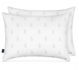 Nautica True Comfort Pillows Pack of 2 Standard/Queen JUST $0.99!