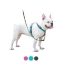 PetSafe 3 in 1 Harness, No-Pull Dog Harness and Car Restraint, Small, Teal
