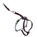 PetSafe Come With Me Kitty Harness and Leash for Cats, Adjustable, Medium, Black