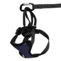 PetSafe Happy Ride Safety Harness - Pet Vehicle Harness for Dogs - Medium