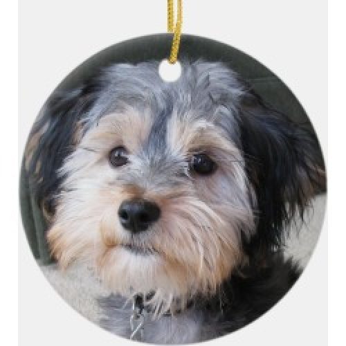 Photo Ornaments - Personalized Dog Photo Frame - DOUBLE-SIDED Christmas Tree Ornaments