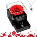 Preserved Red Real Rose with I Love You Necklace in 100 Languages -Eternal Flowers Rose Gifts for Mom Wife Girlfriend...