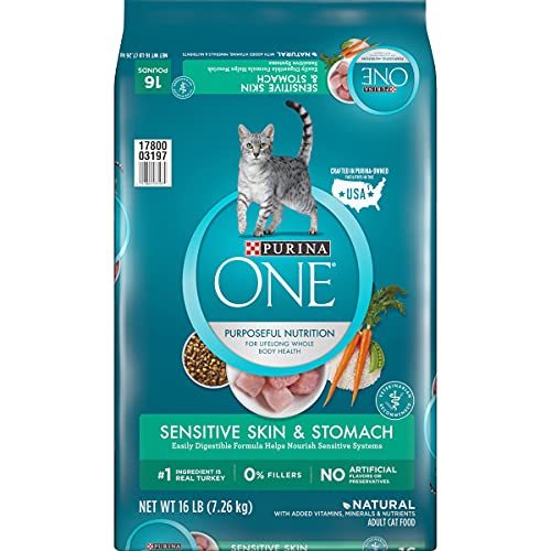 Purina ONE Natural Dry Cat Food, Sensitive Skin & Stomach Formula - 16 lb. Bag