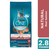 Purina ONE Natural Dry Cat Food; Tender Selects Blend With Real Salmon – 2.8 lb. Bag on Sale At Dollar General