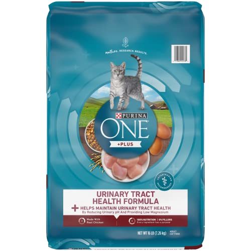 Purina ONE Urinary Tract Health Formula Adult Premium Cat Food - (1) 16 lb. Bag (178641)