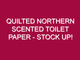 Quilted Northern Scented Toilet Paper – STOCK UP!