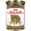 Royal Canin Breed Health Nutrition Golden Retriever Adult Loaf in Sauce Canned Dog Food, 13.5 oz Can (Case of 12)