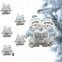 Ruimatai Christmas Gifts Decorations On Clearance Personalized Survived Family Of Ornament 2020 Christmas Holiday Decorations