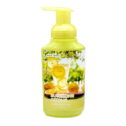 Scent Theory Foaming Hand Soap, Sunshine Citrus, 11 oz