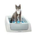 ScoopFree Classic Self-Cleaning Cat Litter Box - No Scooping For Weeks - Unbeatable Odor Control