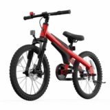 Segway Ninebot Kids Bike for Boys and Girls, 14 inch – Amazon Today Only