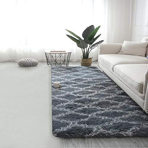 Shaggy Area Rug Modern Indoor Plush Fluffy Rugs, Extra Soft Comfy Carpets, Cute Cozy Area Rugs for Bedroom Living Room...