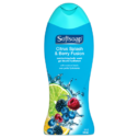 Softsoap Moisturizing Body Wash, Citrus Splash and Berry - 18 fl oz