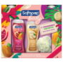 Softsoap Body Wash Gift Set, 2 - 20 oz Bottles + Pouf