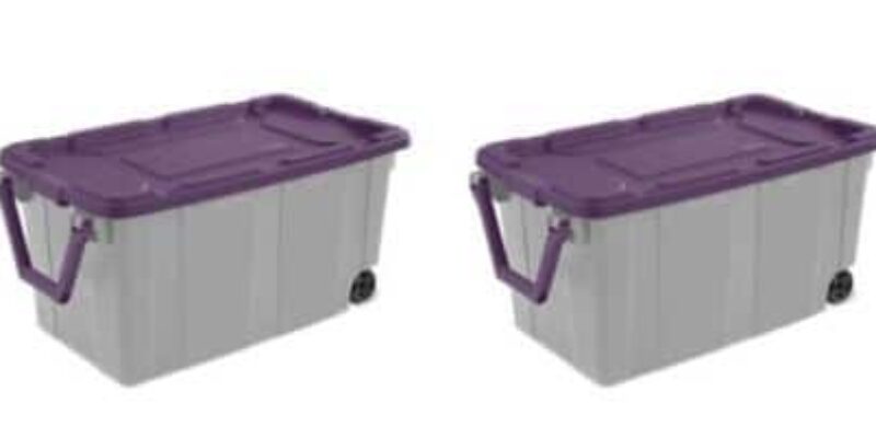 HUGE Storage Bins on HUGE Sale At Walmart!