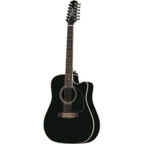 Takamine EF381SC 12 String Acoustic Electric Guitar with Hardshell Case