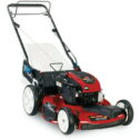 Toro SmartStow Personal Pace 22 in. 163 cc Self-Propelled Lawn Mower