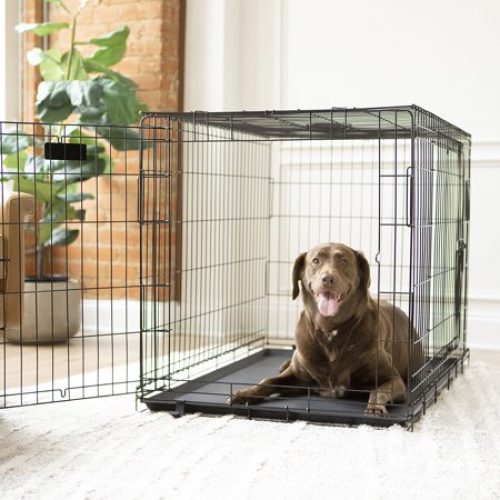 Vibrant Life, Double-Door Folding Dog Crate with Divider, X-Large, 42