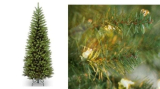 Christmas Tree Blowout! PSA $9.99 and FREE Pick Up!