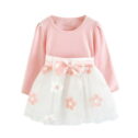 XMMSWDLA Toddler Girl Clothes 2022 Clearance Kids Baby Girls Long Sleeve Tulle Patchwork Flower Bow Dresses Clothes