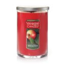 Yankee Candle Large 2-Wick Tumbler Candle, Macintosh