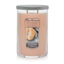 Yankee Candle Tangerine & Vanilla - Large 2-Wick Tumbler Candle