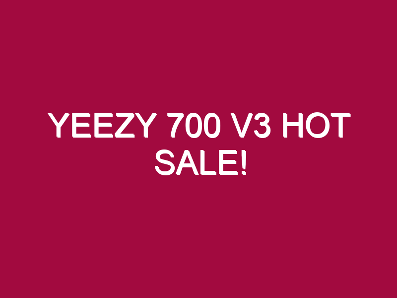 Yeezy 700 V3 HOT SALE!
